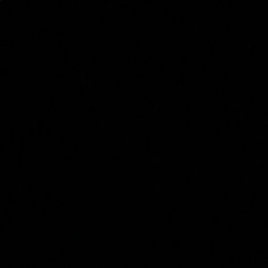 Meet your Posher, Hyanna